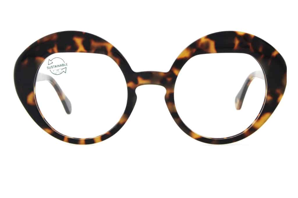 omayda-eyewear-today